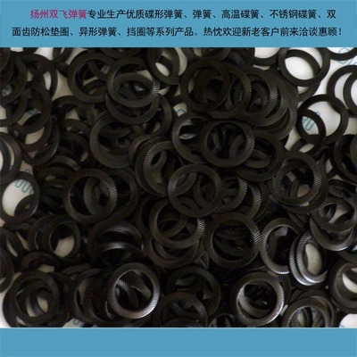 304 DIN9250防松垫圈